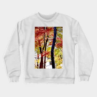 Autumn Colours 10 Crewneck Sweatshirt